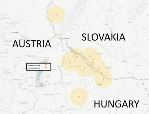 FMD in Hungary and Slovakia 2025