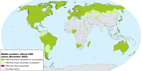 WOAH FMD Status November 2025